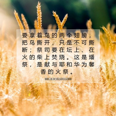 Picture 07 - 利 未 记 1:17 CUVS - 要 拿 着 鸟 的 两 个 翅 膀 ， 把 鸟 - Bible Verse Picture