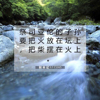 Picture 07 - 利 未 记 1:7 CUVS - 祭 司 亚 伦 的 子 孙 要 把 火 放 在 - Bible Verse Picture
