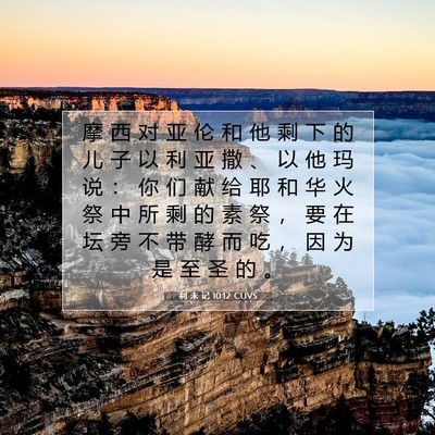 Picture 07 - 利 未 记 10:12 CUVS - 摩 西 对 亚 伦 和 他 剩 下 的 儿 子 - Bible Verse Picture