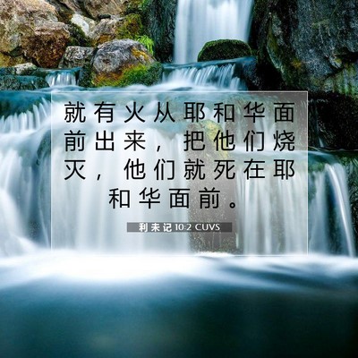 Picture 07 - 利 未 记 10:2 CUVS - 就 有 火 从 耶 和 华 面 前 出 来 ， - Bible Verse Picture