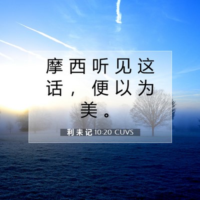 Picture 07 - 利 未 记 10:20 CUVS - 摩 西 听 见 这 话 ， 便 以 为 美 - Bible Verse Picture