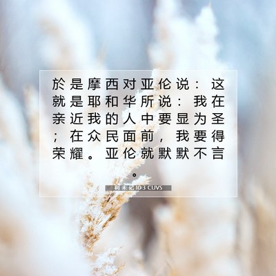 Picture 07 - 利 未 记 10:3 CUVS - 於 是 摩 西 对 亚 伦 说 ： 这 就 是 - Bible Verse Picture