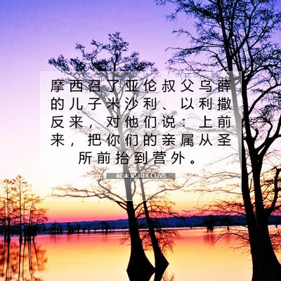 Picture 07 - 利 未 记 10:4 CUVS - 摩 西 召 了 亚 伦 叔 父 乌 薛 的 儿 - Bible Verse Picture