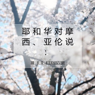 Picture 07 - 利 未 记 11:1 CUVS - 耶 和 华 对 摩 西 、 亚 伦 说 - Bible Verse Picture