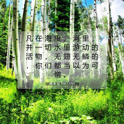 Picture 07 - 利 未 记 11:10 CUVS - 凡 在 海 里 、 河 里 ， 并 一 切 水 - Bible Verse Picture