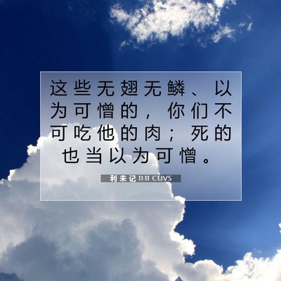 Picture 07 - 利 未 记 11:11 CUVS - 这 些 无 翅 无 鳞 、 以 为 可 憎 的 - Bible Verse Picture