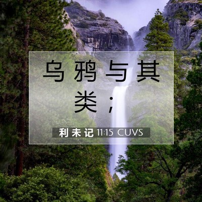 Picture 07 - 利 未 记 11:15 CUVS - 乌 鸦 与 其 类 - Bible Verse Picture