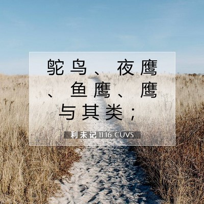 Picture 07 - 利 未 记 11:16 CUVS - 鸵 鸟 、 夜 鹰 、 鱼 鹰 、 鹰 与 其 - Bible Verse Picture