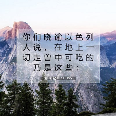 Picture 07 - 利 未 记 11:2 CUVS - 你 们 晓 谕 以 色 列 人 说 ， 在 地 - Bible Verse Picture