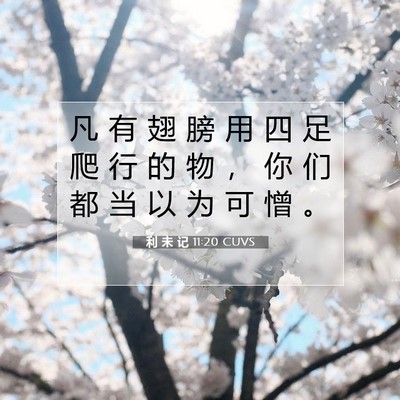 Picture 07 - 利 未 记 11:20 CUVS - 凡 有 翅 膀 用 四 足 爬 行 的 物 ， - Bible Verse Picture