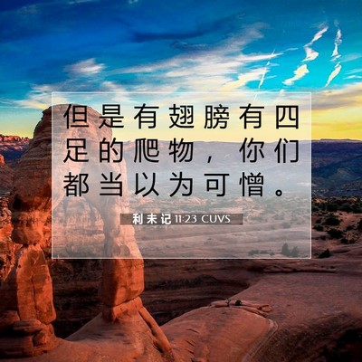 Picture 07 - 利 未 记 11:23 CUVS - 但 是 有 翅 膀 有 四 足 的 爬 物 ， - Bible Verse Picture