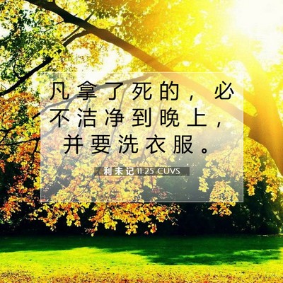 Picture 07 - 利 未 记 11:25 CUVS - 凡 拿 了 死 的 ， 必 不 洁 净 到 晚 - Bible Verse Picture