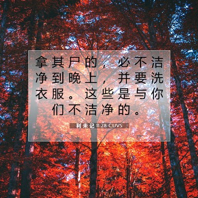 Picture 07 - 利 未 记 11:28 CUVS - 拿 其 尸 的 ， 必 不 洁 净 到 晚 上 - Bible Verse Picture