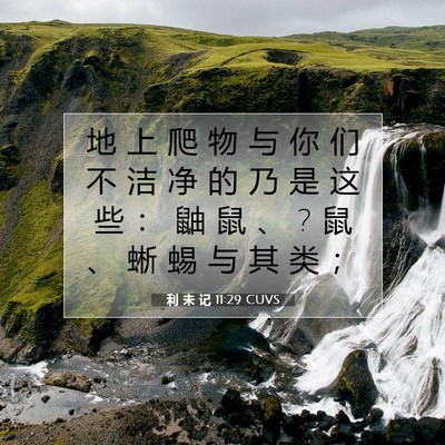 Picture 07 - 利 未 记 11:29 CUVS - 地 上 爬 物 与 你 们 不 洁 净 的 乃 - Bible Verse Picture