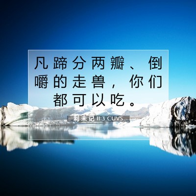 Picture 07 - 利 未 记 11:3 CUVS - 凡 蹄 分 两 瓣 、 倒 嚼 的 走 兽 ， - Bible Verse Picture