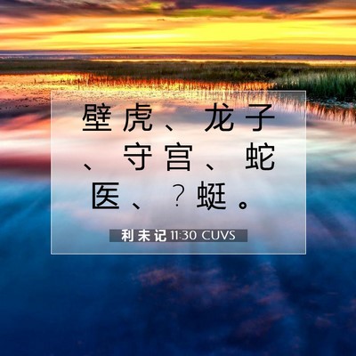 Picture 07 - 利 未 记 11:30 CUVS - 壁 虎 、 龙 子 、 守 宫 、 蛇 医 、 ? - Bible Verse Picture