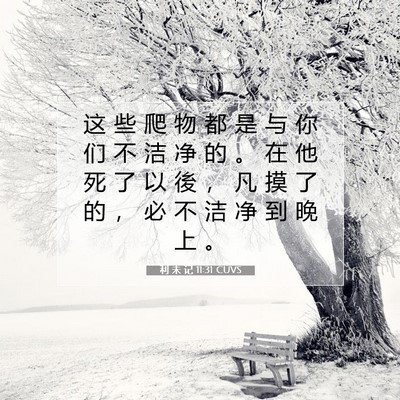 Picture 07 - 利 未 记 11:31 CUVS - 这 些 爬 物 都 是 与 你 们 不 洁 净 - Bible Verse Picture