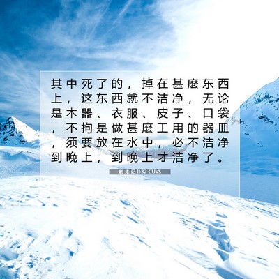 Picture 07 - 利 未 记 11:32 CUVS - 其 中 死 了 的 ， 掉 在 甚 麽 东 西 - Bible Verse Picture