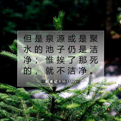 Picture 07 - 利 未 记 11:36 CUVS - 但 是 泉 源 或 是 聚 水 的 池 子 仍 - Bible Verse Picture