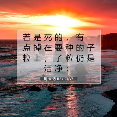 Picture 07 - 利 未 记 11:37 CUVS - 若 是 死 的 ， 有 一 点 掉 在 要 种 - Bible Verse Picture