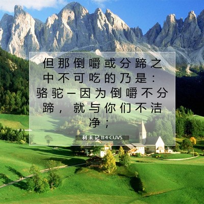 Picture 07 - 利 未 记 11:4 CUVS - 但 那 倒 嚼 或 分 蹄 之 中 不 可 吃 - Bible Verse Picture