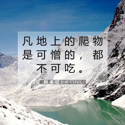 Picture 07 - 利 未 记 11:41 CUVS - 凡 地 上 的 爬 物 是 可 憎 的 ， 都 - Bible Verse Picture