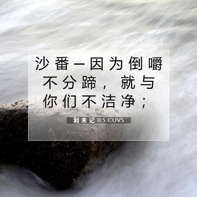 Picture 07 - 利 未 记 11:5 CUVS - 沙 番 ─ 因 为 倒 嚼 不 分 蹄 ， 就 - Bible Verse Picture