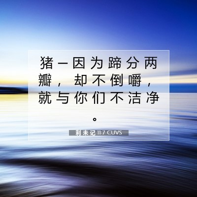 Picture 07 - 利 未 记 11:7 CUVS - 猪 ─ 因 为 蹄 分 两 瓣 ， 却 不 倒 - Bible Verse Picture