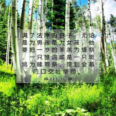 Picture 07 - 利 未 记 12:6 CUVS - 满 了 洁 净 的 日 子 ， 无 论 是 为 - Bible Verse Picture