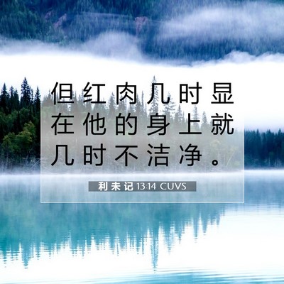 Picture 07 - 利 未 记 13:14 CUVS - 但 红 肉 几 时 显 在 他 的 身 上 就 - Bible Verse Picture