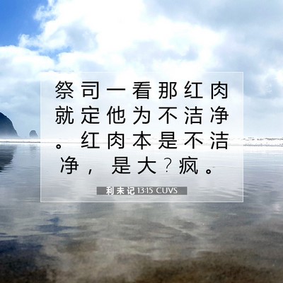 Picture 07 - 利 未 记 13:15 CUVS - 祭 司 一 看 那 红 肉 就 定 他 为 不 - Bible Verse Picture