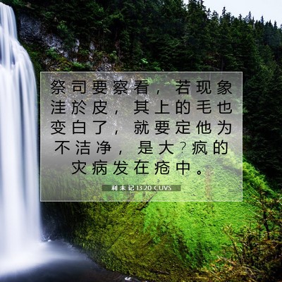 Picture 07 - 利 未 记 13:20 CUVS - 祭 司 要 察 看 ， 若 现 象 洼 於 皮 - Bible Verse Picture