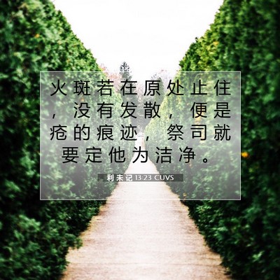 Picture 07 - 利 未 记 13:23 CUVS - 火 斑 若 在 原 处 止 住 ， 没 有 发 - Bible Verse Picture