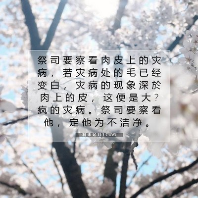 Picture 07 - 利 未 记 13:3 CUVS - 祭 司 要 察 看 肉 皮 上 的 灾 病 ， - Bible Verse Picture