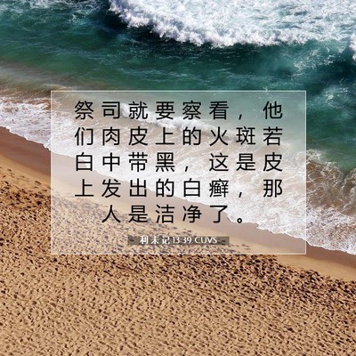 Picture 07 - 利 未 记 13:39 CUVS - 祭 司 就 要 察 看 ， 他 们 肉 皮 上 - Bible Verse Picture