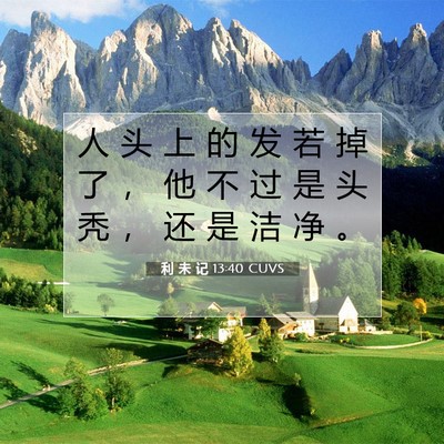 Picture 07 - 利 未 记 13:40 CUVS - 人 头 上 的 发 若 掉 了 ， 他 不 过 - Bible Verse Picture