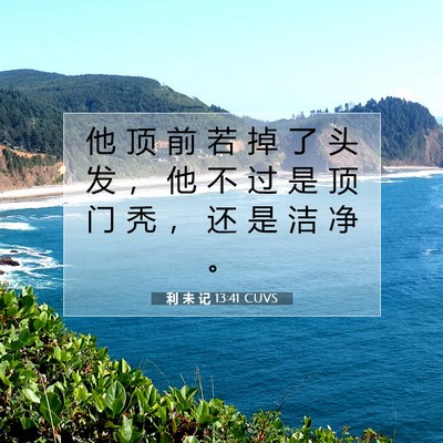 Picture 07 - 利 未 记 13:41 CUVS - 他 顶 前 若 掉 了 头 发 ， 他 不 过 - Bible Verse Picture