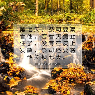 Picture 07 - 利 未 记 13:5 CUVS - 第 七 天 ， 祭 司 要 察 看 他 ， 若 - Bible Verse Picture