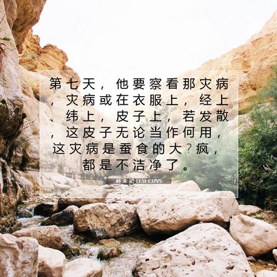 Picture 07 - 利 未 记 13:51 CUVS - 第 七 天 ， 他 要 察 看 那 灾 病 ， - Bible Verse Picture