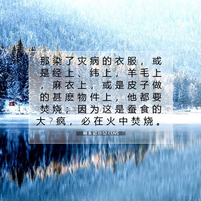 Picture 07 - 利 未 记 13:52 CUVS - 那 染 了 灾 病 的 衣 服 ， 或 是 经 - Bible Verse Picture
