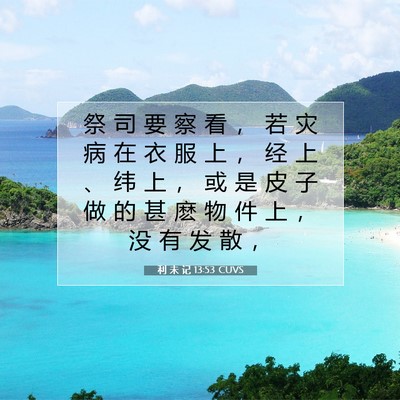 Picture 07 - 利 未 记 13:53 CUVS - 祭 司 要 察 看 ， 若 灾 病 在 衣 服 - Bible Verse Picture