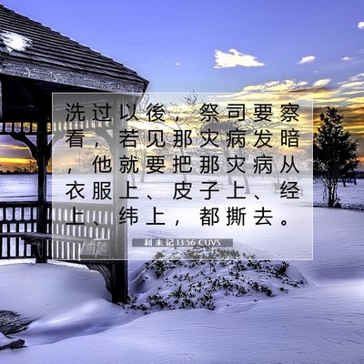 Picture 07 - 利 未 记 13:56 CUVS - 洗 过 以 後 ， 祭 司 要 察 看 ， 若 - Bible Verse Picture