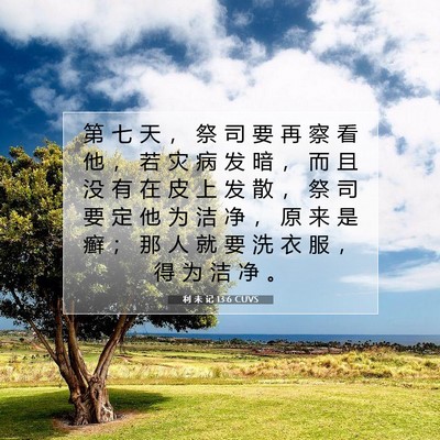 Picture 07 - 利 未 记 13:6 CUVS - 第 七 天 ， 祭 司 要 再 察 看 他 ， - Bible Verse Picture