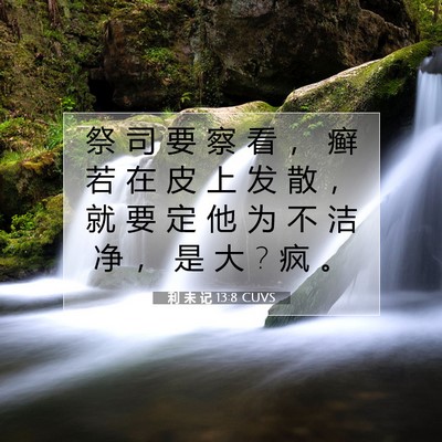 Picture 07 - 利 未 记 13:8 CUVS - 祭 司 要 察 看 ， 癣 若 在 皮 上 发 - Bible Verse Picture