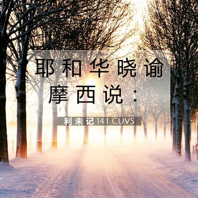 Picture 07 - 利 未 记 14:1 CUVS - 耶 和 华 晓 谕 摩 西 说 - Bible Verse Picture