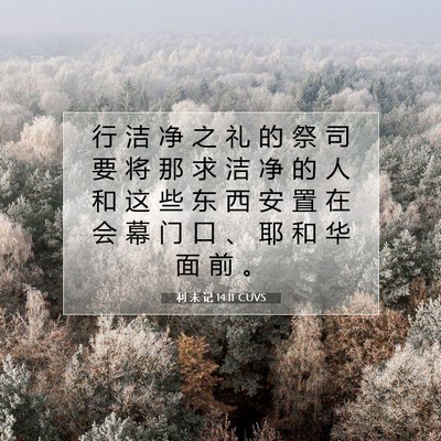 Picture 07 - 利 未 记 14:11 CUVS - 行 洁 净 之 礼 的 祭 司 要 将 那 求 - Bible Verse Picture