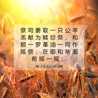 Picture 07 - 利 未 记 14:12 CUVS - 祭 司 要 取 一 只 公 羊 羔 献 为 赎 - Bible Verse Picture