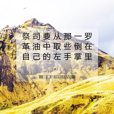 Picture 07 - 利 未 记 14:15 CUVS - 祭 司 要 从 那 一 罗 革 油 中 取 些 - Bible Verse Picture