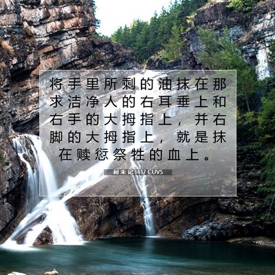 Picture 07 - 利 未 记 14:17 CUVS - 将 手 里 所 剩 的 油 抹 在 那 求 洁 - Bible Verse Picture