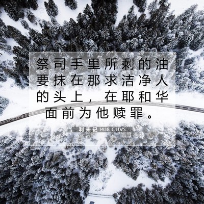 Picture 07 - 利 未 记 14:18 CUVS - 祭 司 手 里 所 剩 的 油 要 抹 在 那 - Bible Verse Picture